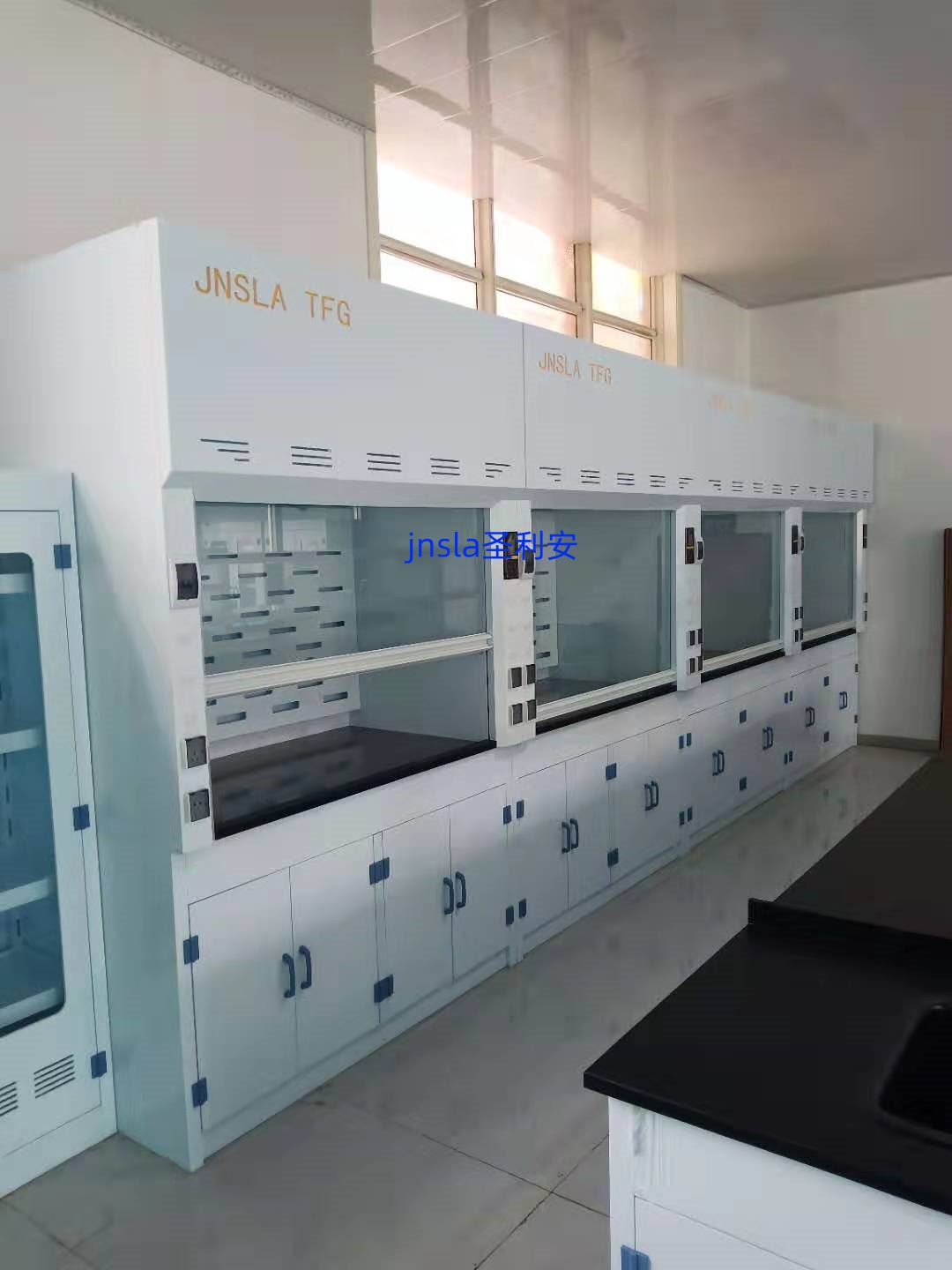 mmexport1747095417990.jpg